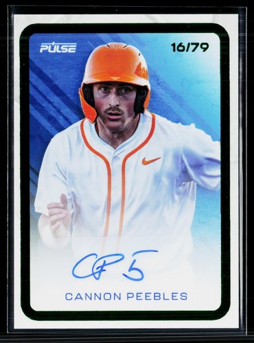 2025 pulse baseball cpe - 2025,